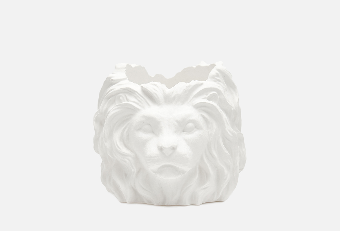 КАШПО VILLERMO, Белый, ЛЕВ, white 100 мл
КАШПО VILLERMO, Белый, ЛЕВ, white 100 мл