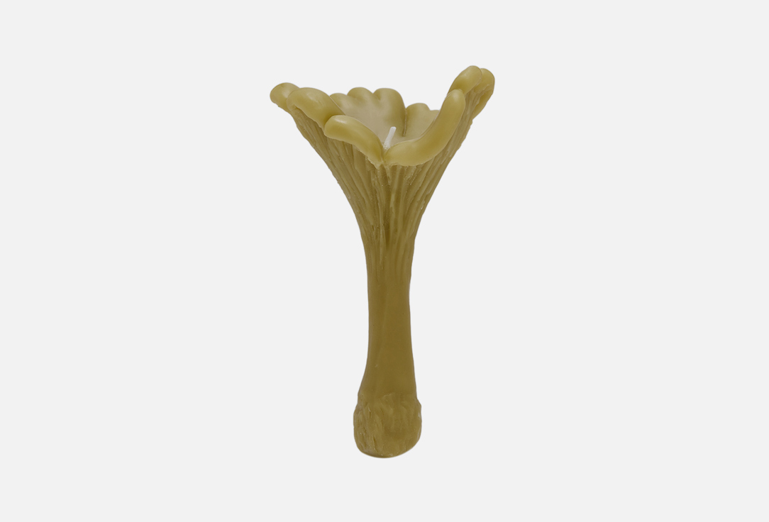 Свеча UNIFICATION LOVE, Коричневый, Гриб Лисичка, Хаки 40 г
Свеча UNIFICATION LOVE, Коричневый, Гриб Лисичка, Хаки 40 г