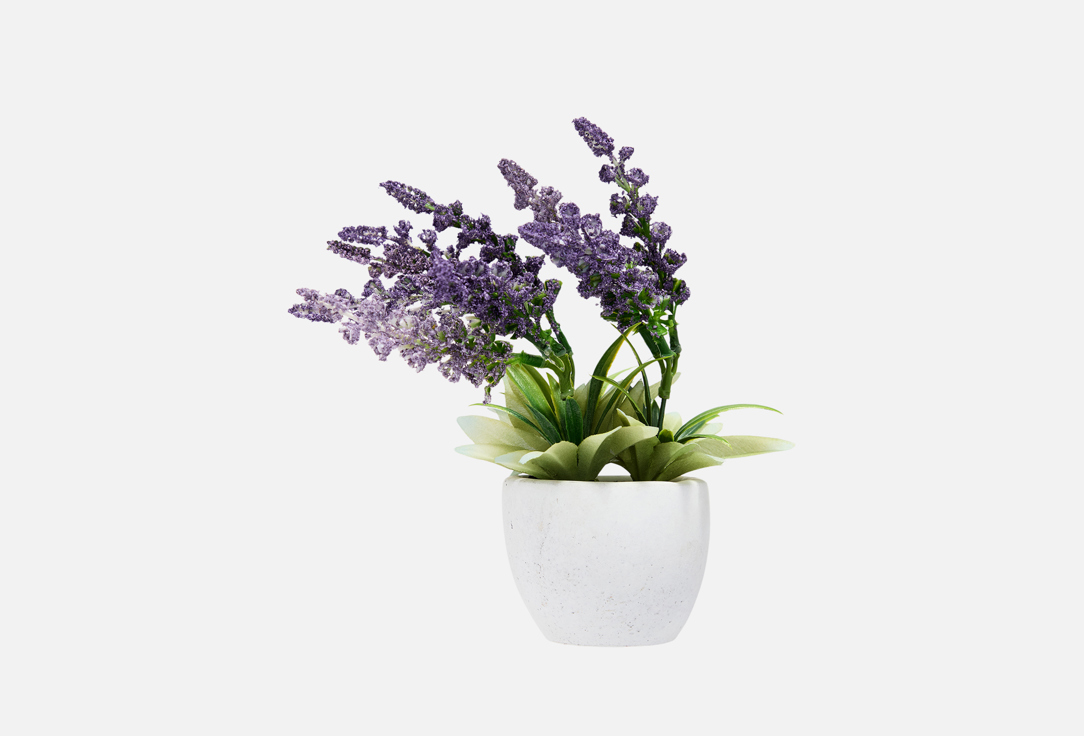 Искусственные цветы в кашпо TOPGIFT, Фиолетовый, Фиолетовые, 8x8x22 см 1 шт
Искусственные цветы в кашпо TOPGIFT, Фиолетовый, Фиолетовые, 8x8x22 см 1 шт