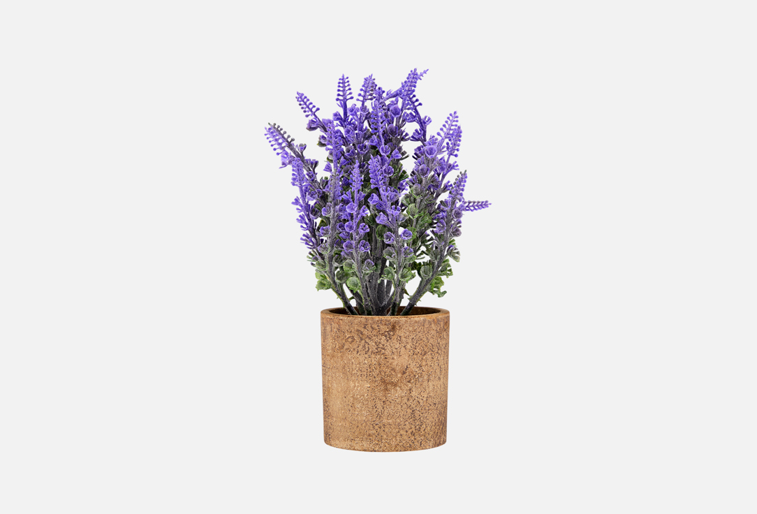Искусственные цветы в кашпо TOPGIFT, Фиолетовый, Лаванда, 8x8x23 см 1 шт
Искусственные цветы в кашпо TOPGIFT, Фиолетовый, Лаванда, 8x8x23 см 1 шт
