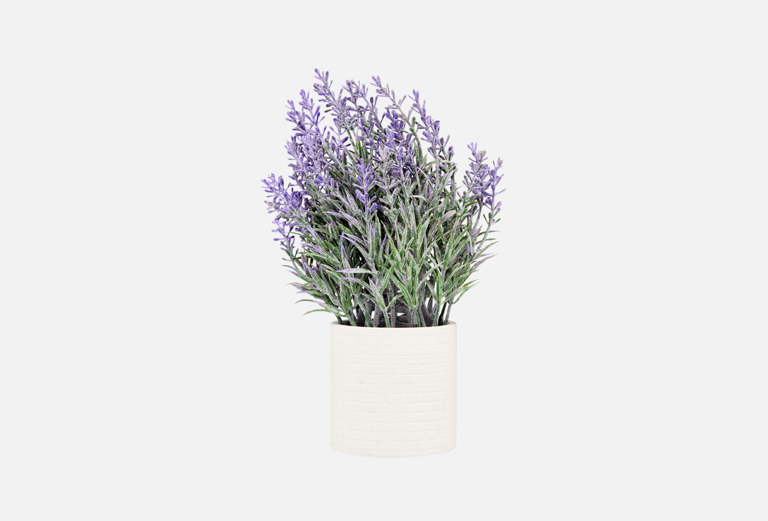 Искусственные цветы в кашпо TOPGIFT, Фиолетовый, Лаванда, 8x8x25 см 1 шт
Искусственные цветы в кашпо TOPGIFT, Фиолетовый, Лаванда, 8x8x25 см 1 шт