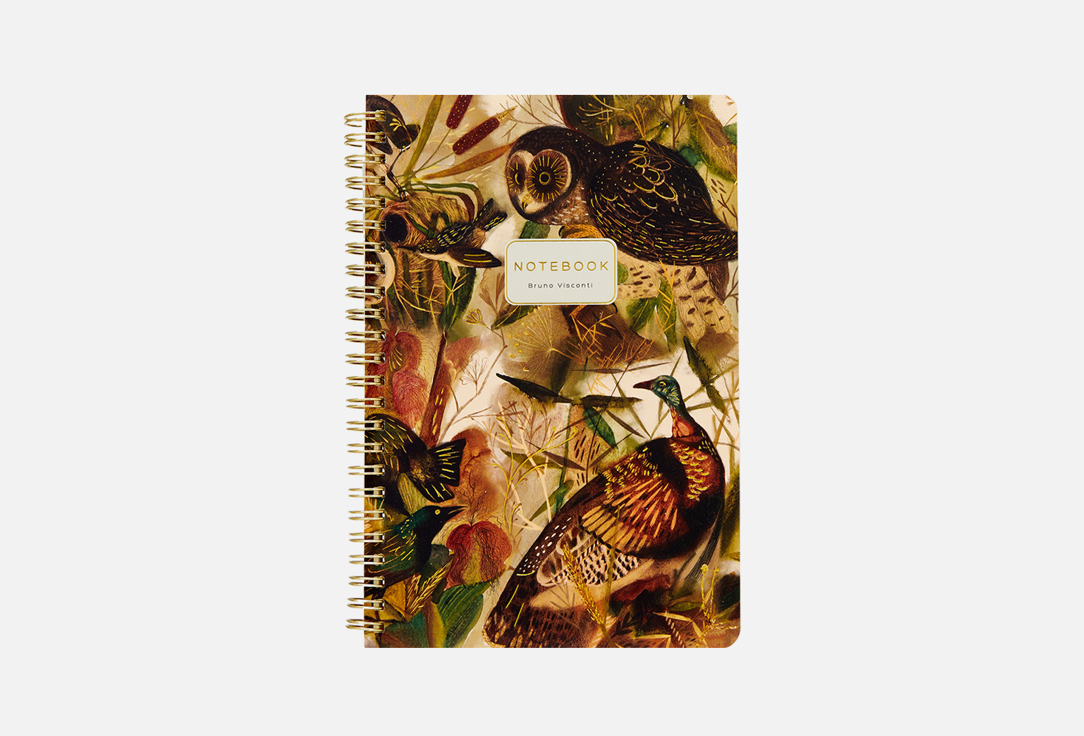 Тетрадь BRUNO VISCONTI, Волшебные совы 1 шт
Тетрадь BRUNO VISCONTI, Волшебные совы 1 шт