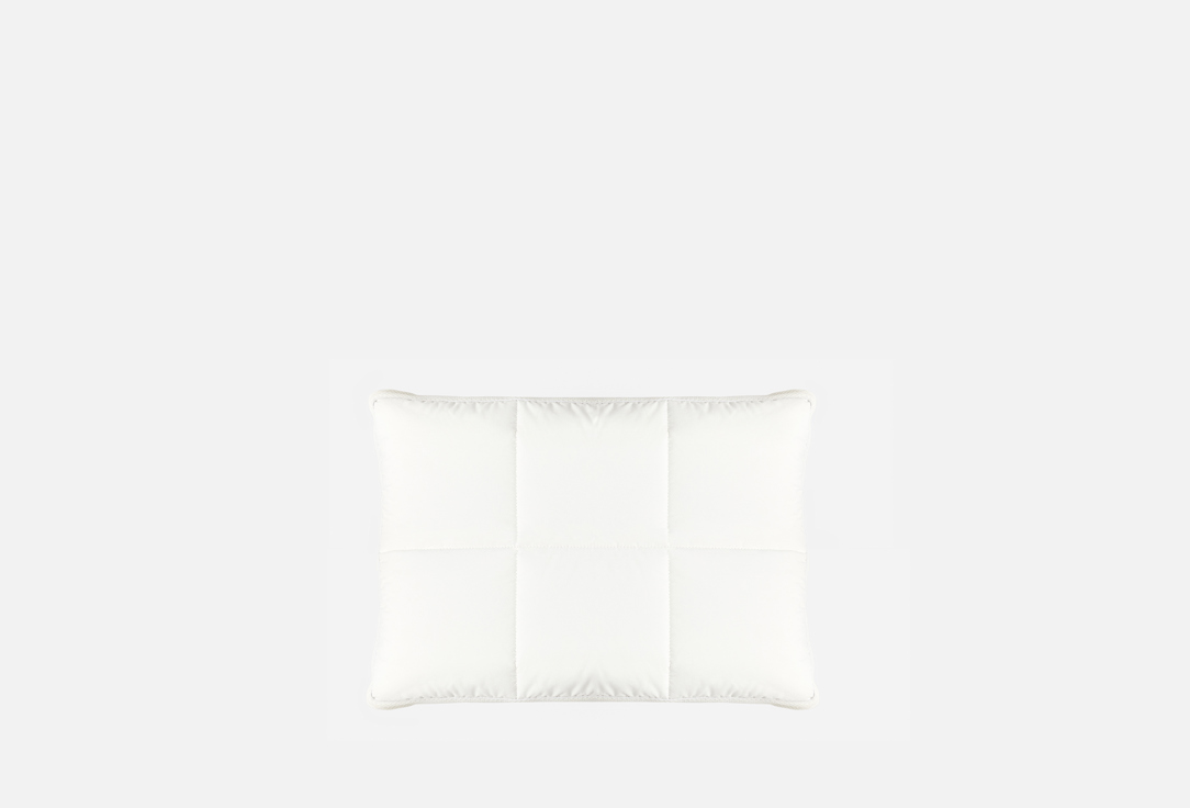 Подушка анатомическая ERKINS, Белый, Essential, 40х60 1 шт
Подушка анатомическая ERKINS, Белый, Essential, 40х60 1 шт