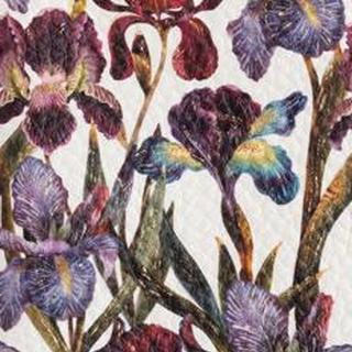 Обложка для паспорта BRUNO VISCONTI, Принт, Flora
Обложка для паспорта BRUNO VISCONTI, Принт, Flora