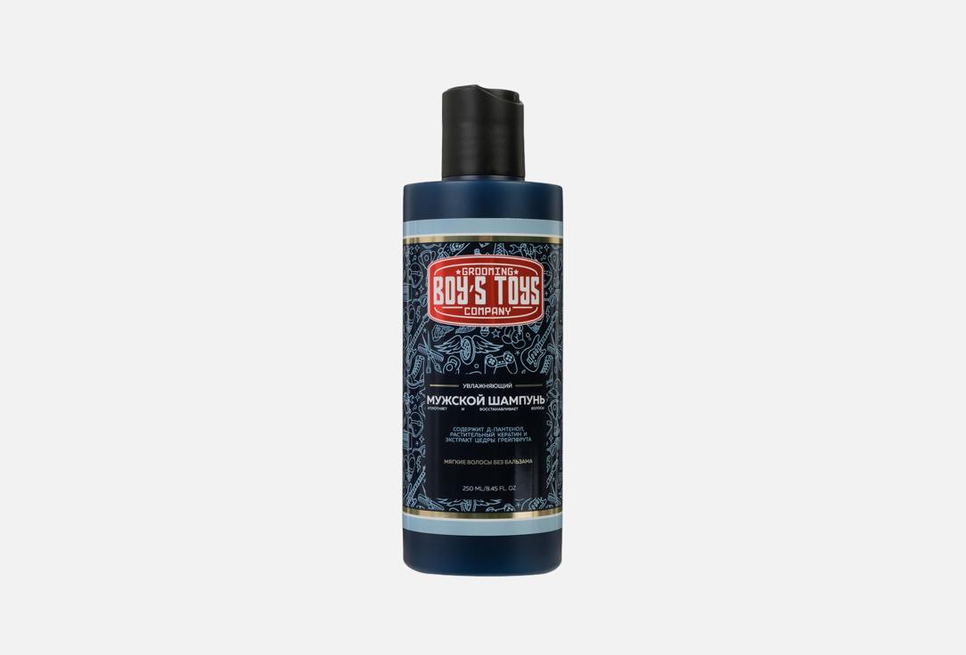 

Шампунь увлажняющий для ежедневного ухода BOYS TOYS, Daily Moisturizing Shampoo 250 мл