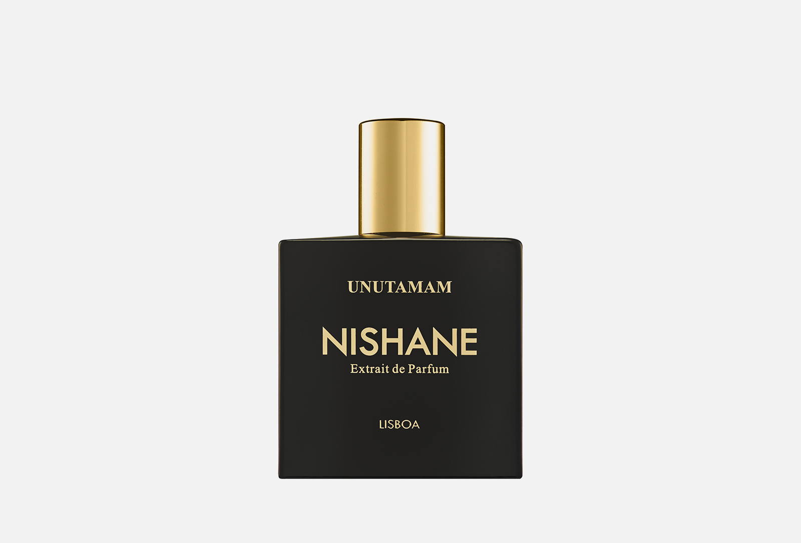 Nishane zenne. Nishane Парфюм мужской. Nishane Парфюм пирамида extrait de Parfum. Nishane papilefiko парфюмерная вода 50мл.. Nishane tempfluo