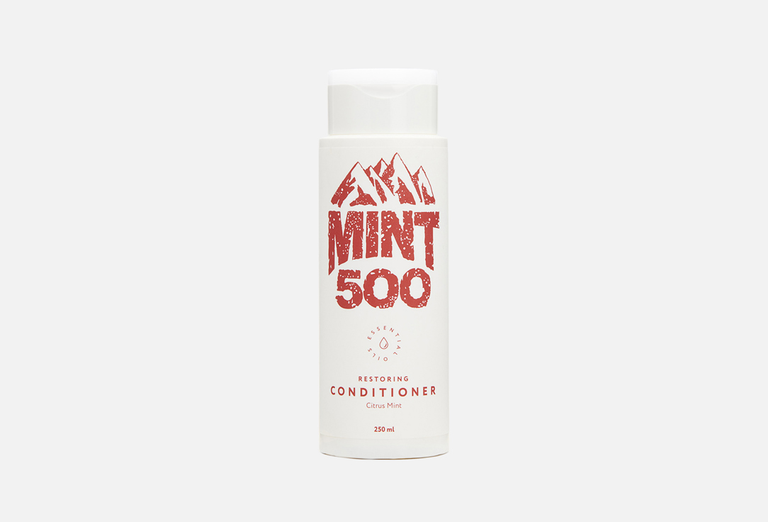 цена Кондициоенр для волос MINT500 Restoring Conditioner 250 мл