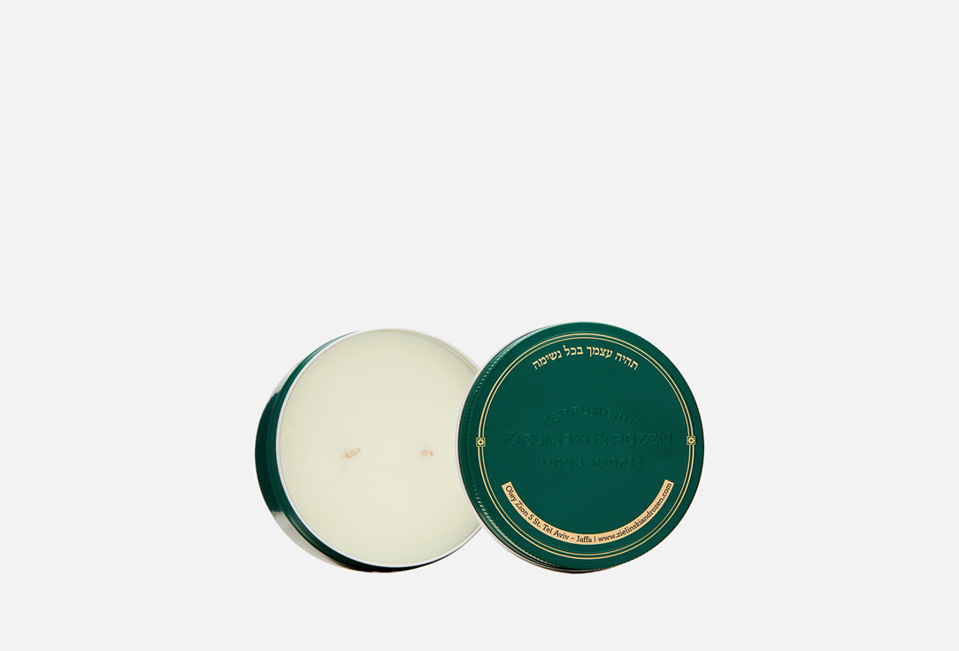 Изображение товара Ароматическая свеча Zielinski & Rozen Vetiver Lemon 140 г для уюта и комфорта