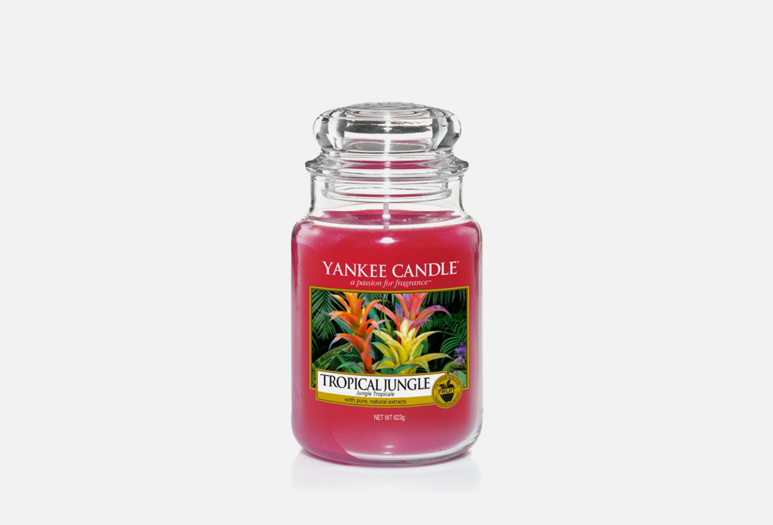 Свеча ароматическая Yankee Candle  Tropical  Jungle   