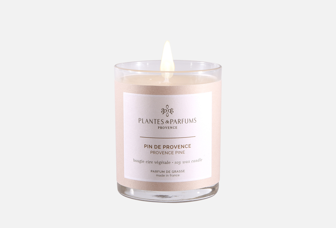 Аромасвеча  Plantes et Parfums de Provence Provence Pine 
