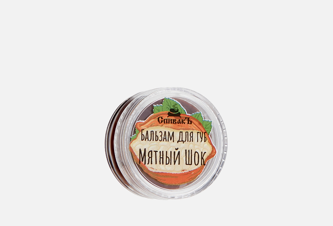 Изображение товара Бальзам для губ СпивакЪ Мятный шоколад