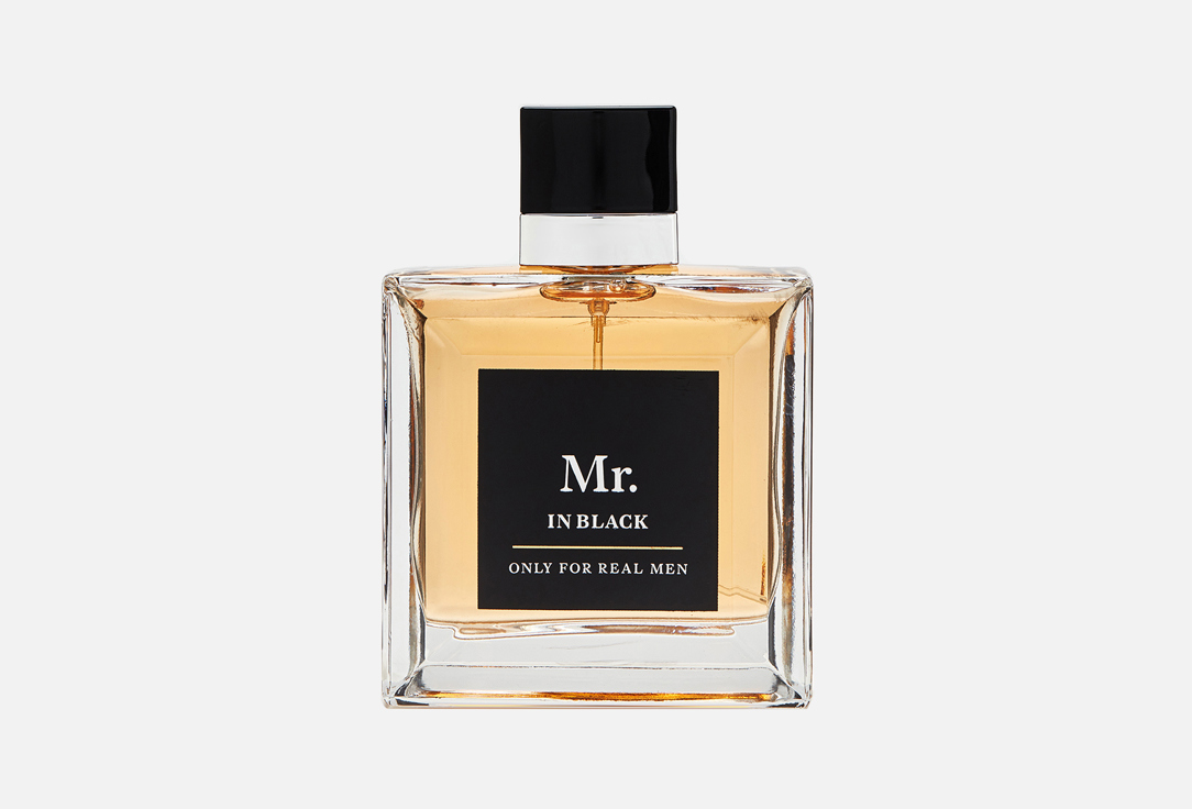 Изображение товара Туалетная вода CHRISTINE LAVOISIER PARFUMS Mr. In Black
