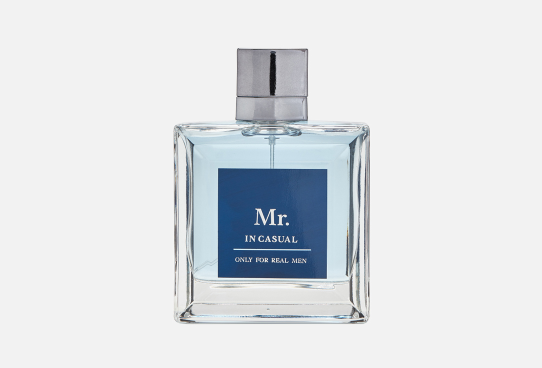 Туалетная вода CHRISTINE LAVOISIER PARFUMS Mr. In Casual 100 мл uomo casual life туалетная вода 100мл
