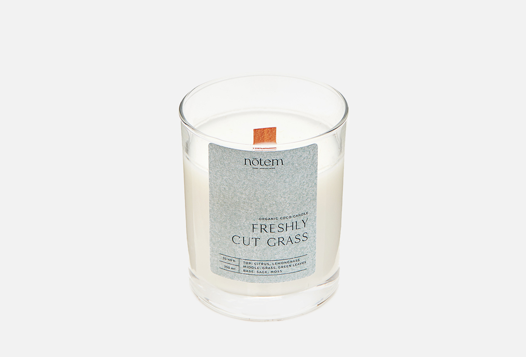 Свеча в стакане NOTEM Aroma Candle | Freshly cut grass 300 г цена и фото