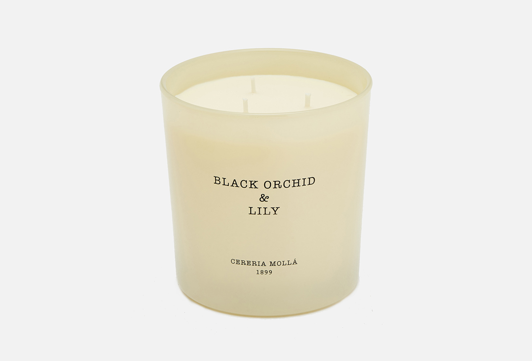 цена Аромасвеча CERERIA MOLLA Black Orchid & Lily 600 г