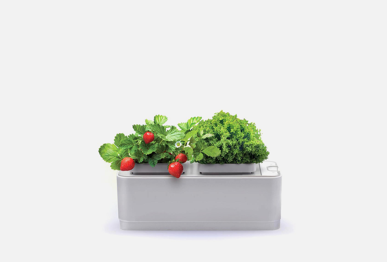 Назад К Истокам Компактный умный сад iGarden, белый 1 шт — купить, цена ...