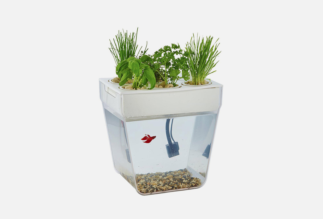 Изображение товара Набор для выращивания растений и ухода за рыбкой Назад К Истокам Аква-ферма