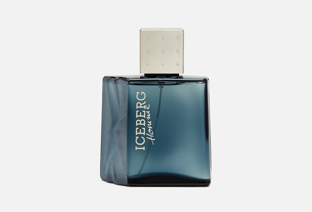 Туалетная вода ICEBERG CLASSIC HOMME  100 мл