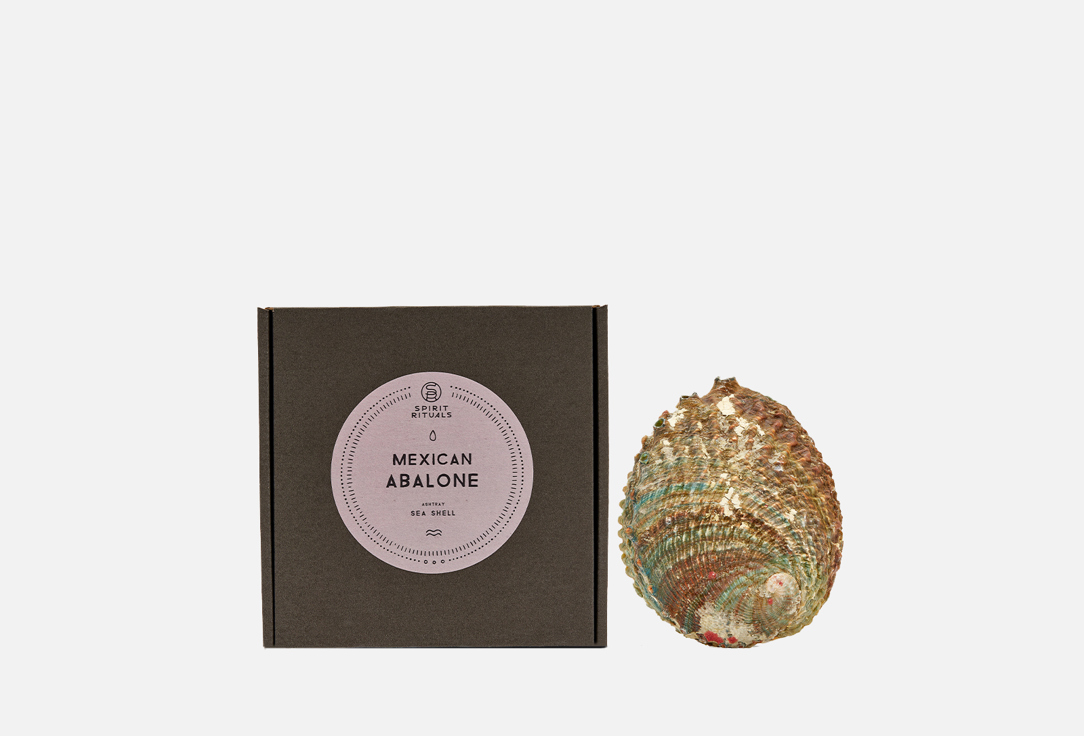 Пепельница-раковина мексиканский SPIRIT RITUALS Natural Mexican Abalone Shell Incense Burner 55 г