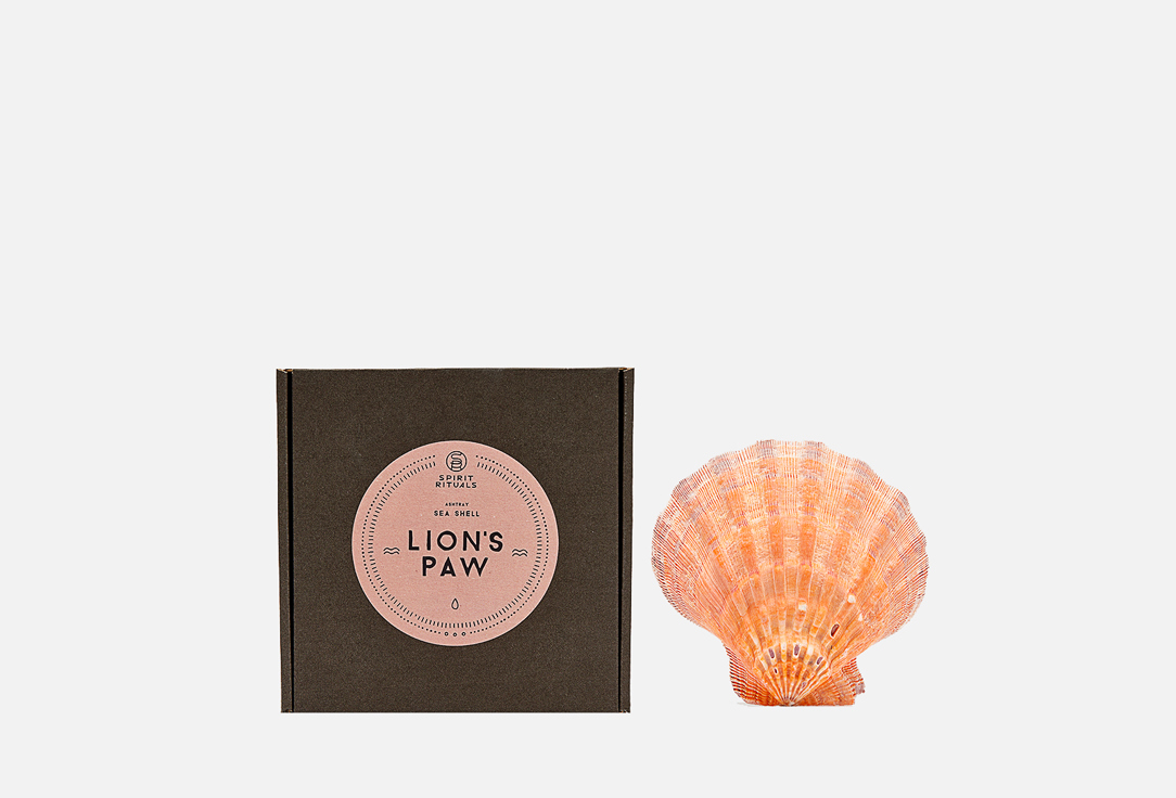цена Пепельница-раковина SPIRIT RITUALS Natural Lion's Paw Sea Shell Incense Burner 180 г