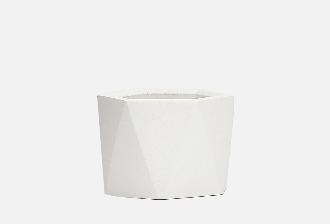 Изображение товара Кашпо для суккулентов Villermo ЭСТЕР, white