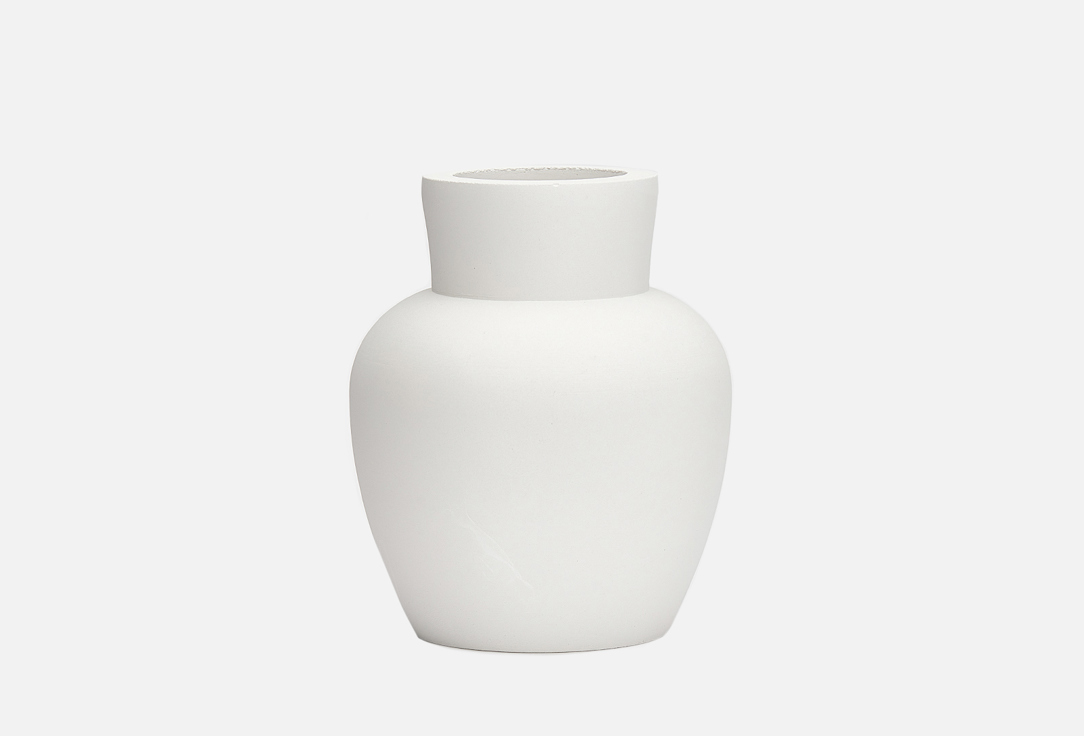 

Ваза для сухоцветов VILLERMO, Белый, АМФОРА, white 100 мл