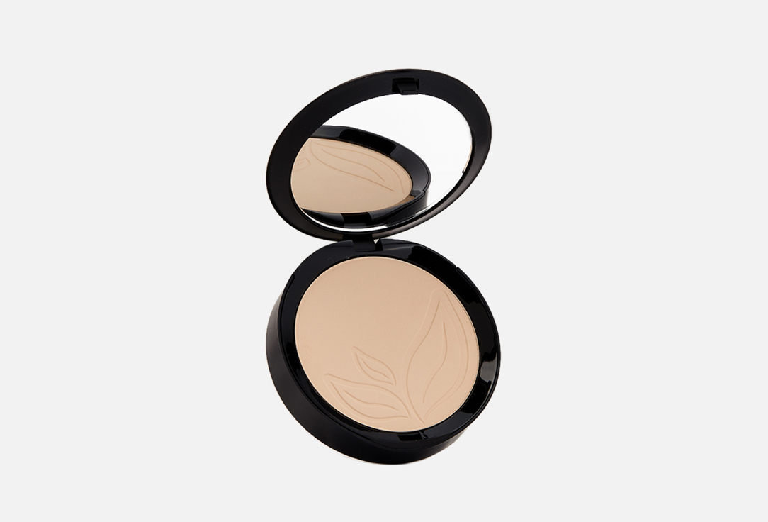 Compact Foundation 9 г 2685₽