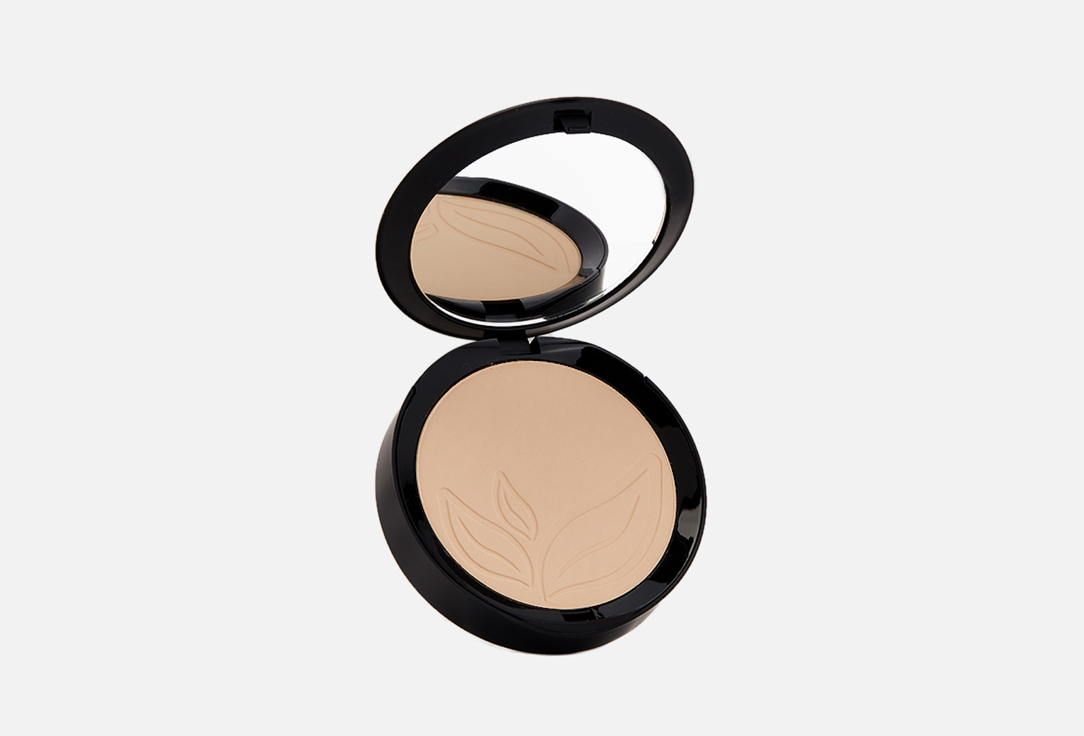 Compact Foundation 9 г 2685₽