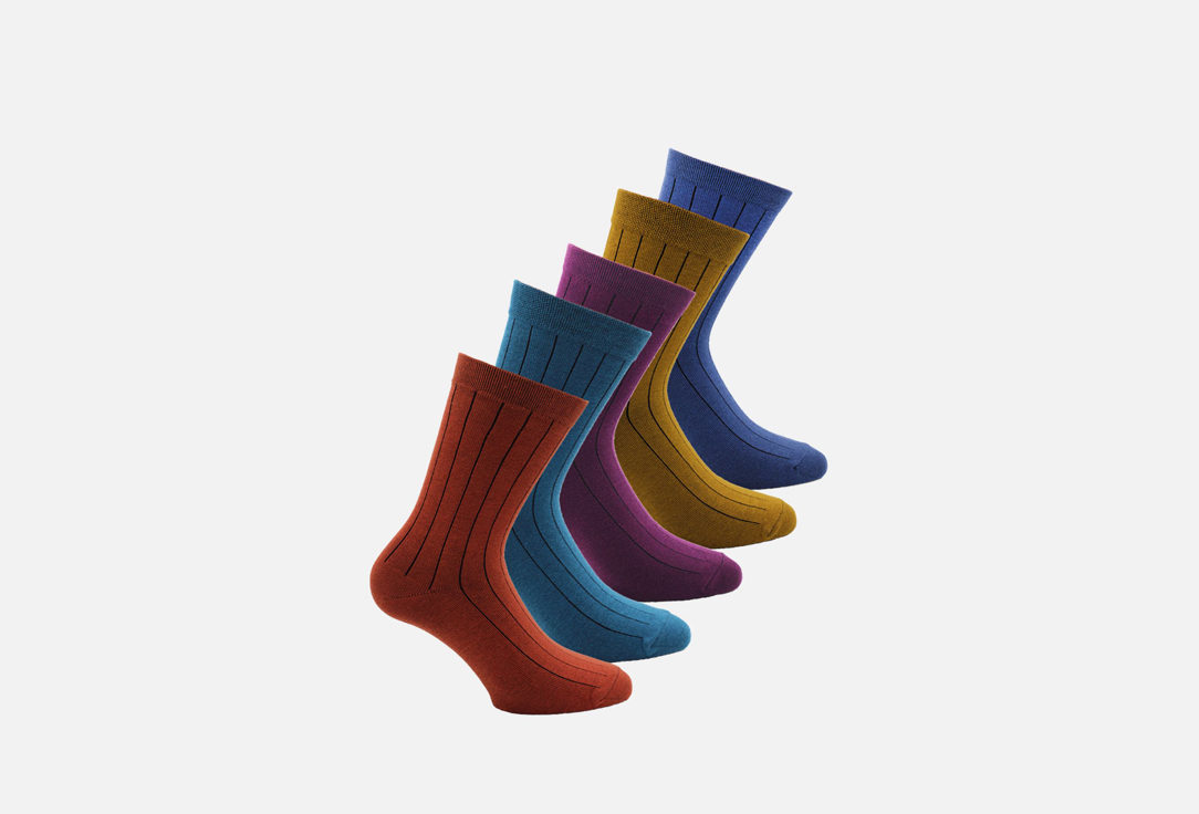 носки мужские Master Socks комплект из 5 пар 