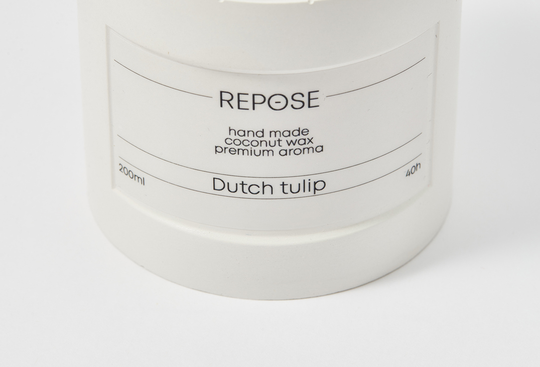  Dutch tulip  200