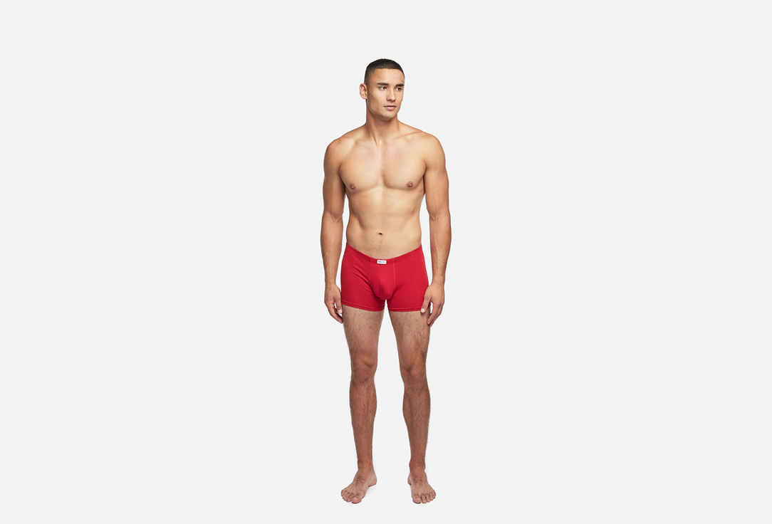 Basic, dark red L мл