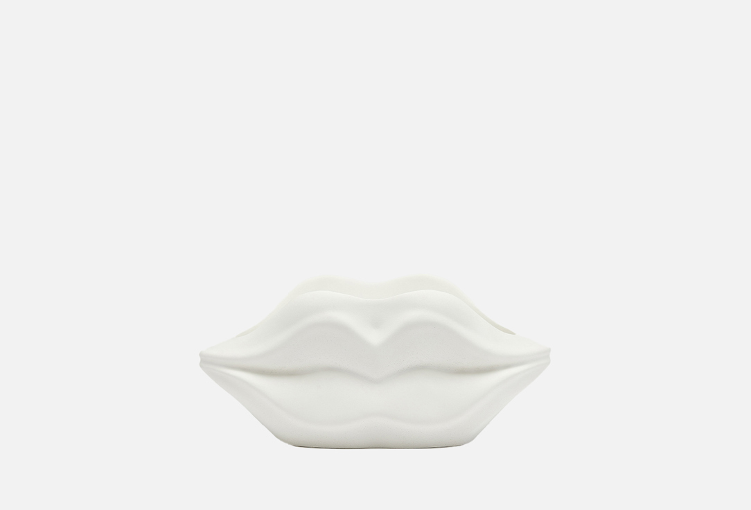 

Кашпо для суккулентов VILLERMO, Белый, Губы, big white 300 мл