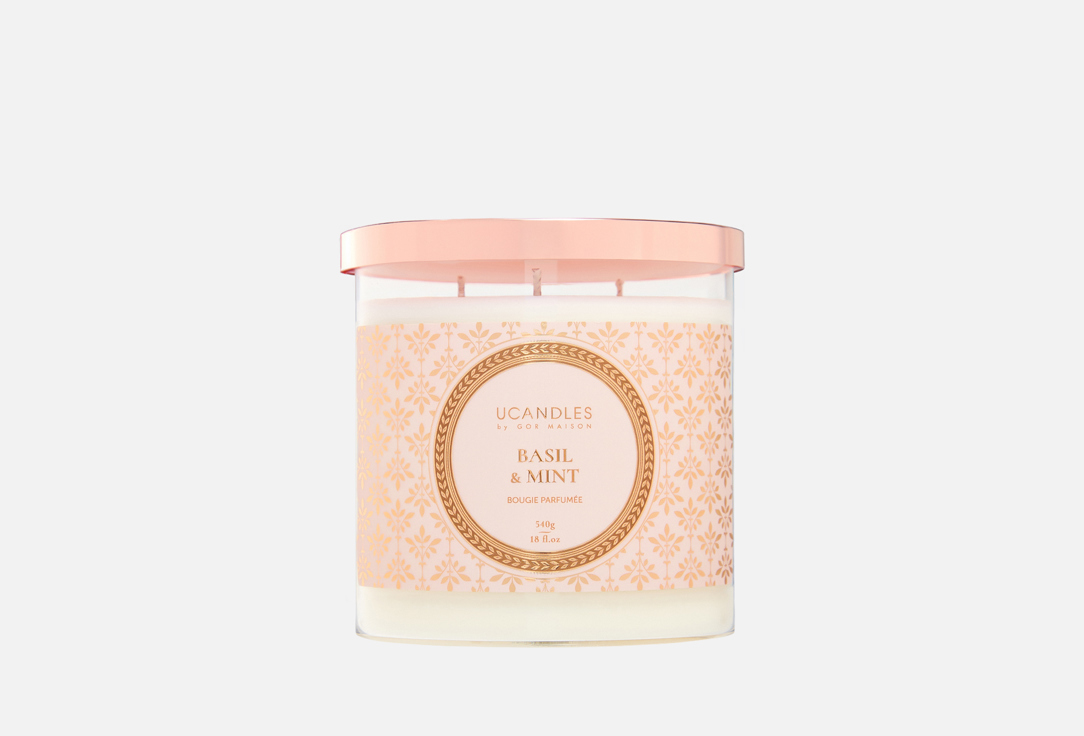

Свеча парфюмированная в стакане UCANDLES, Белый, BASIL AND MINT 540 г