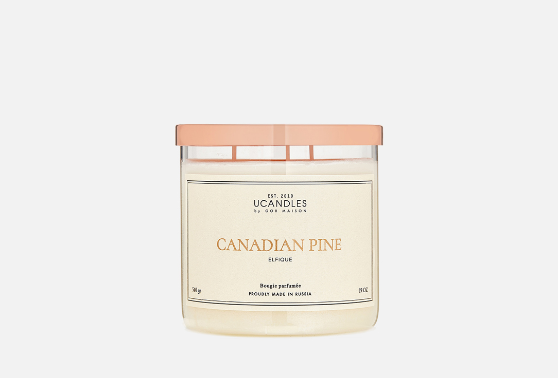 Свеча парфюмированная в стакане UCANDLES CANADIAN PINE 540 г свеча парфюмированная в стакане ucandles blueberry nights 540 гр