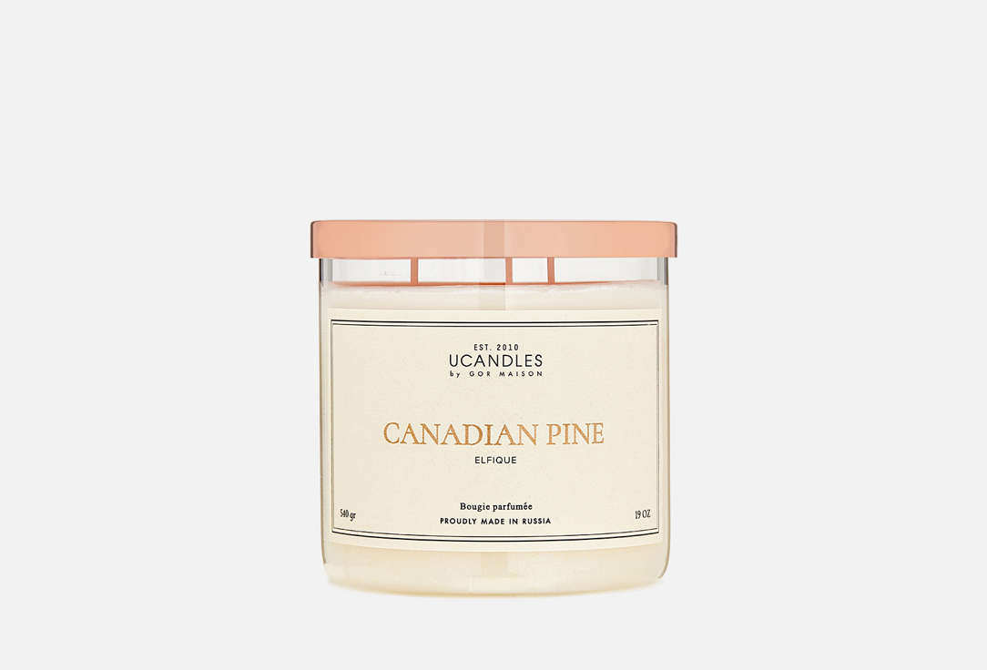 Свеча парфюмированная в стакане UCANDLES CANADIAN PINE 540 г свеча парфюмированная в стакане ucandles oriental lemongrass 220 мл