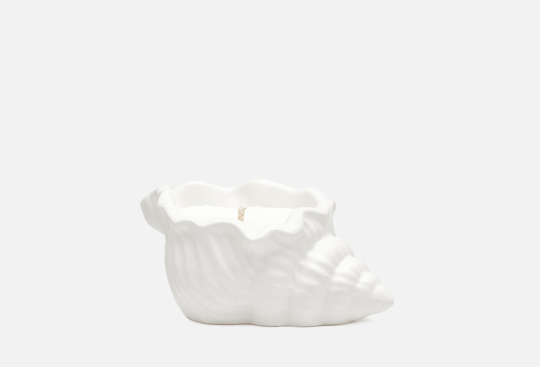 Изображение товара АРОМАТИЧЕСКАЯ СВЕЧА Villermo Книжная лавка, РАКУШКА МИНИ