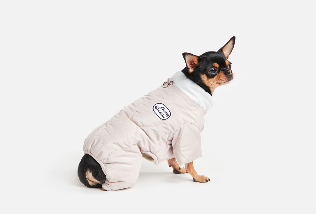 Комбинезон для собак ARNYDOG LeGu, серый комбинезон для собак мелких пород arnydog suit цвет синий m 29 см