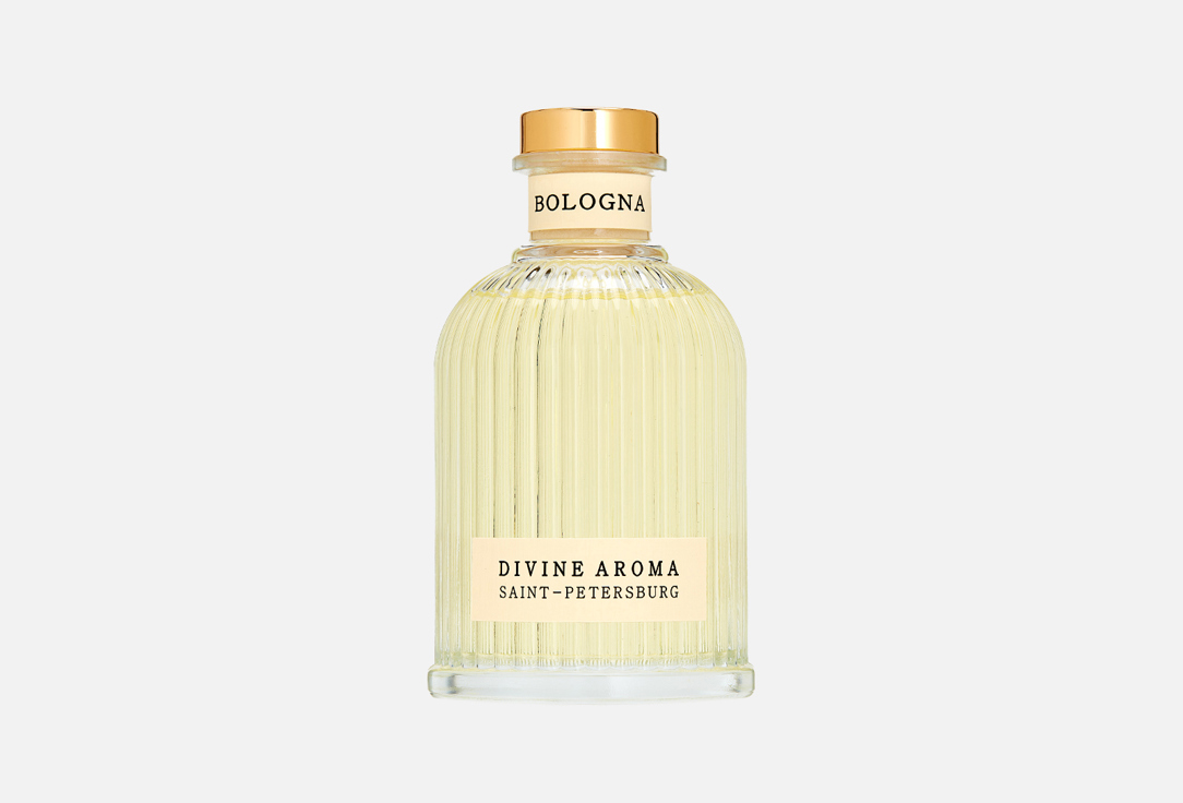 

Аромадиффузор DIVINE AROMA, Bologna 200 мл