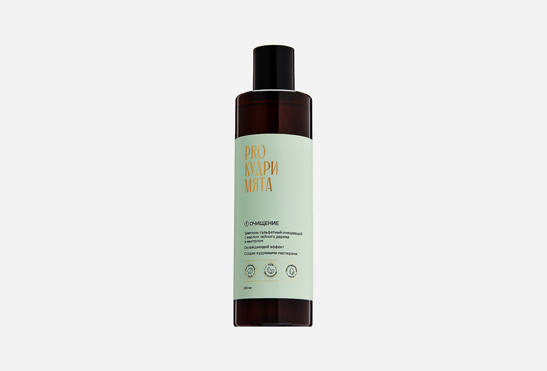 Очищающий шампунь для волос ProКудри Tea tree oil 