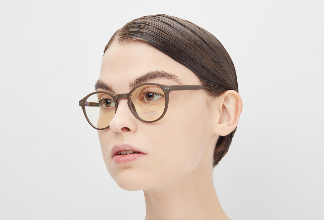 

Очки компьютерные LECTIO RISUS, BLF005 C5 1 шт