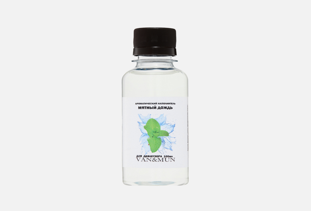 Mint rain 100 мл
