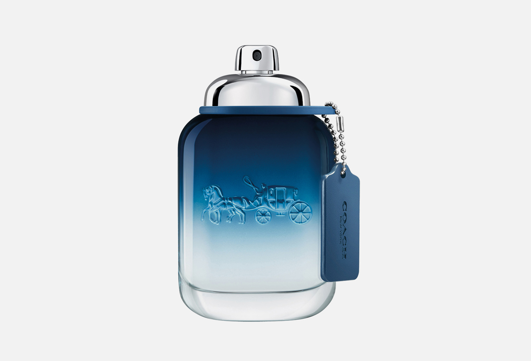 Blue 60 мл 5366₽