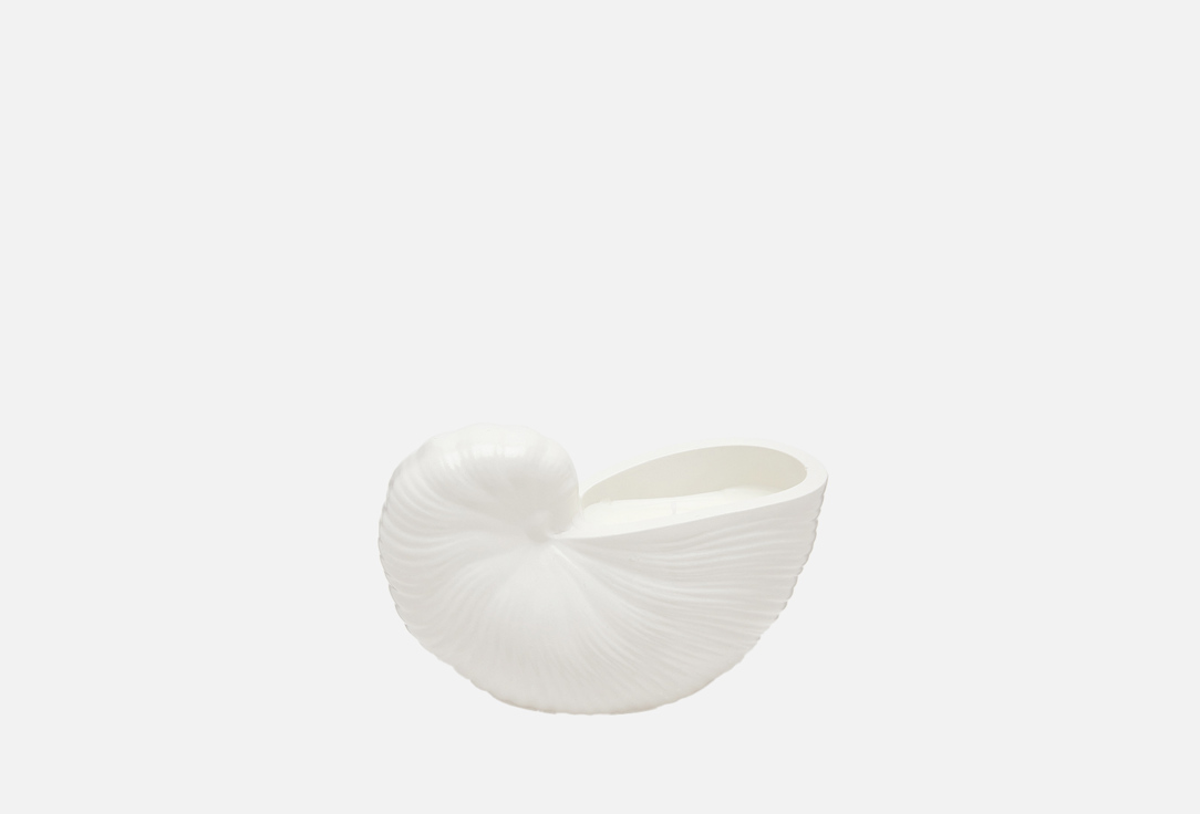 

Ароматическая свеча VILLERMO, Белый, Книжная лавка, Наутилус 66 мл