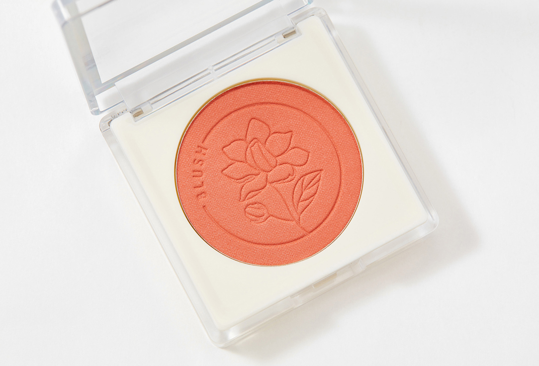 Румяна для лица Focallure Perfection Velvet Blush 102