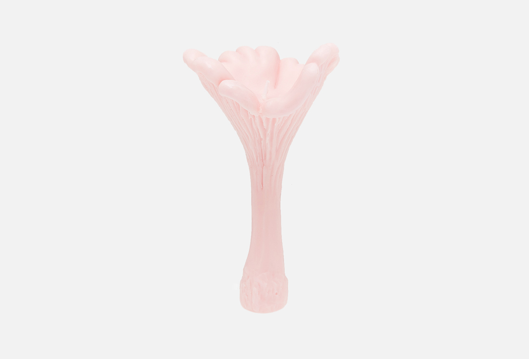 

Свеча UNIFICATION LOVE, Розовый, Гриб Лисичка, Розовая 40 г