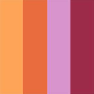 VISEART Blush Palette Orange 52 г — фото 6