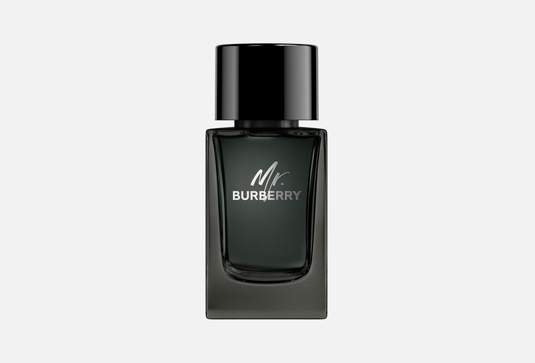 Парфюмерная вода BURBERRY MR.BURBERRY 100 мл