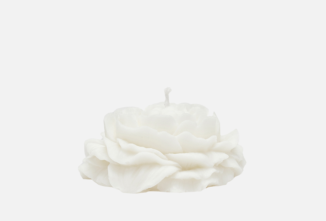 

Свеча формовая ATELIER COLLECTION, Белый, PIVION 1 шт