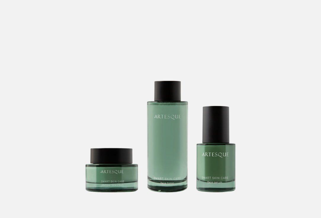 Изображение товара Набор для ухода за кожей лица ARTESQUE Smart Skin Care Kit