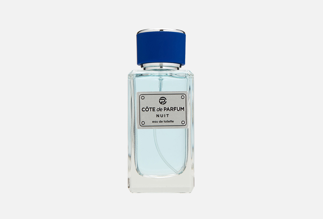 Парфюмерная вода ARTPARFUM Cote de Parfum Nuit 100 мл eau de parfum 2021 набор п вода 100мл гель д душа 150мл